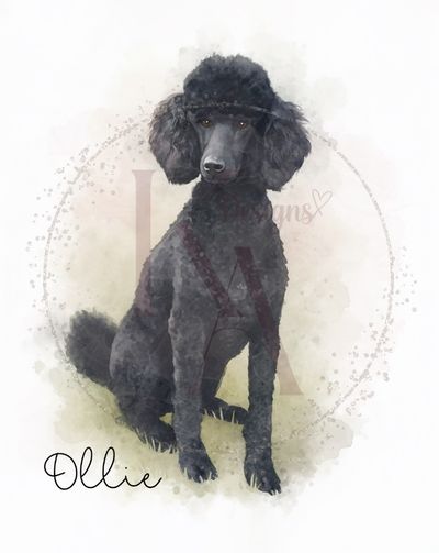 A4 Custom Watercolour Paint Effect Prints